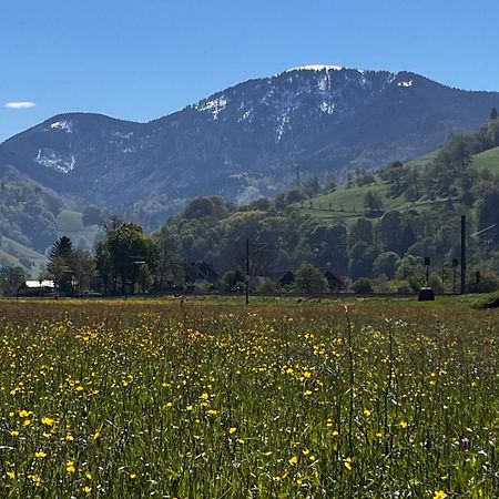Gaestezimmer Münstertal Eksteriør billede