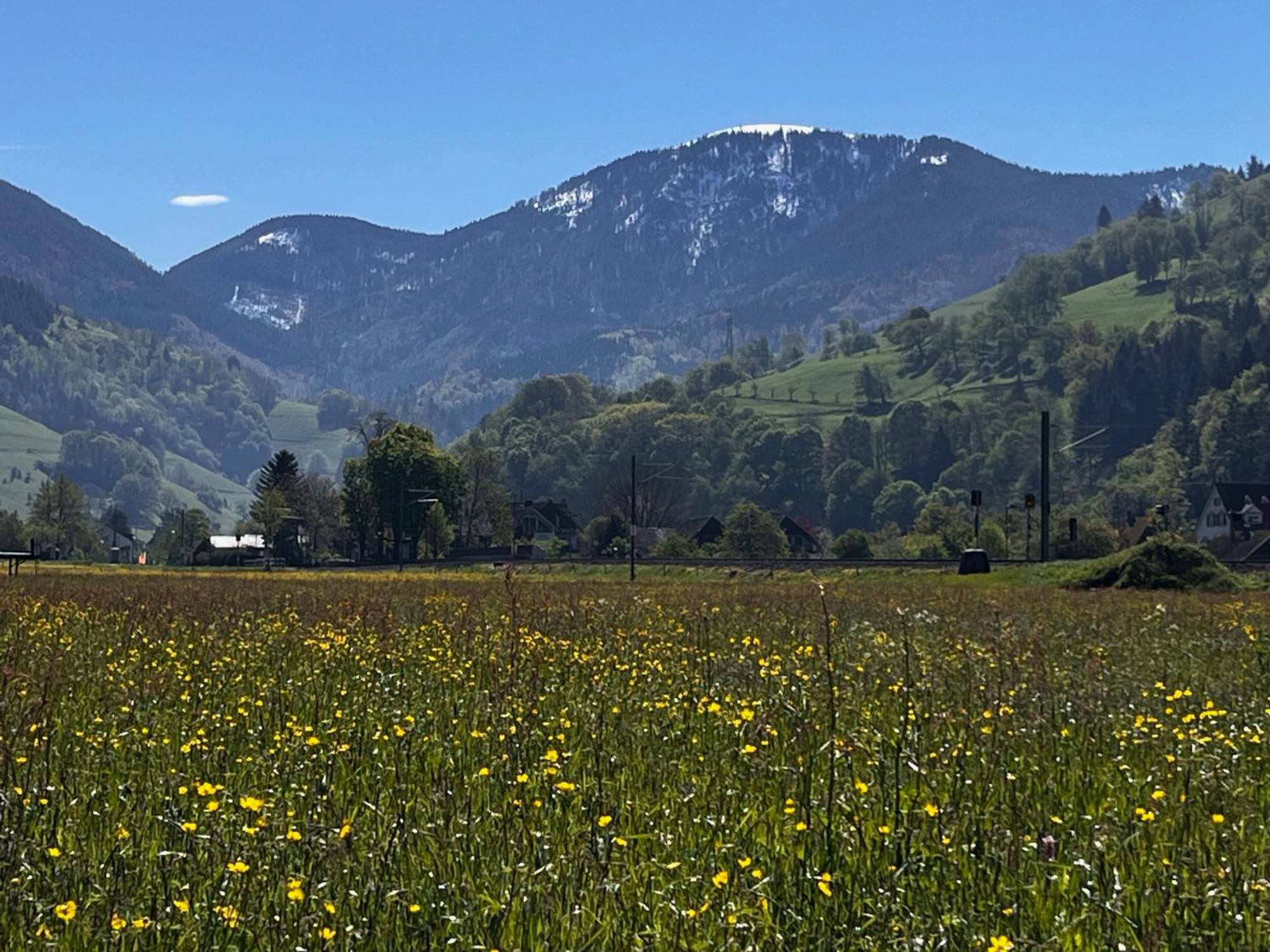 Gaestezimmer Münstertal Eksteriør billede